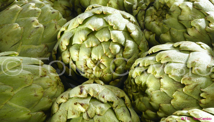 Fresh Artichoke Globes